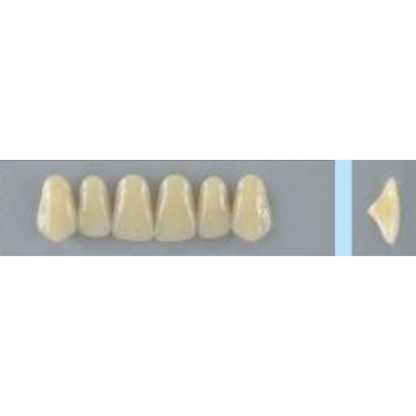 Dente Vipi Plus 263 Superior