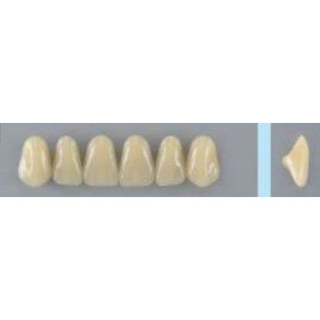 Dente Vipi Plus 3P Superior