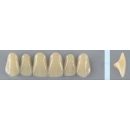 Dente Vipi Plus 266 Superior