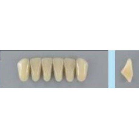 Dente Vipi Plus 2D Inferior