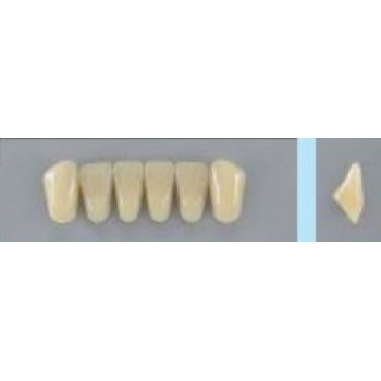 Dente Vipi Plus 3D Inferior