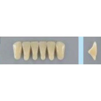 Dente Vipi Plus 2N Inferior