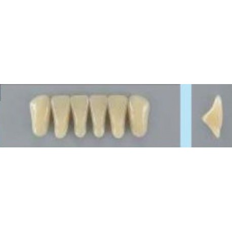 Dente Vipi Plus 2N Inferior