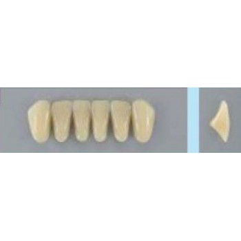 Dente Vipi Plus 3N Inferior