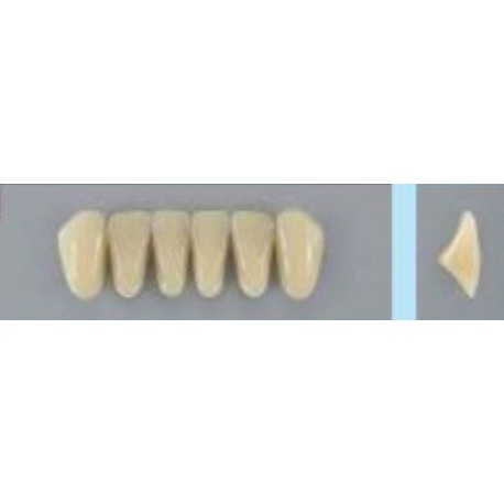 Dente Vipi Plus 3N Inferior