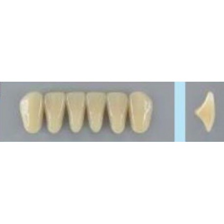 Dente Vipi Plus 3P Inferior