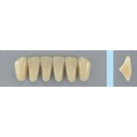 Dente Vipi Plus A25 Inferior