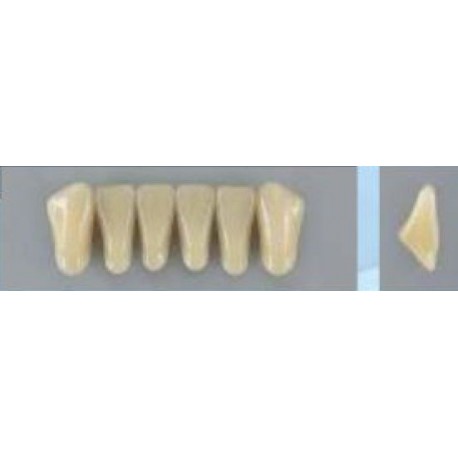 Dente Vipi Plus 2P Inferior