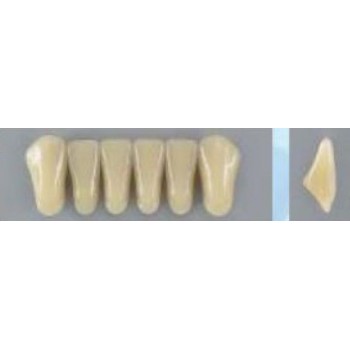 Dente Vipi Plus 266 Inferior