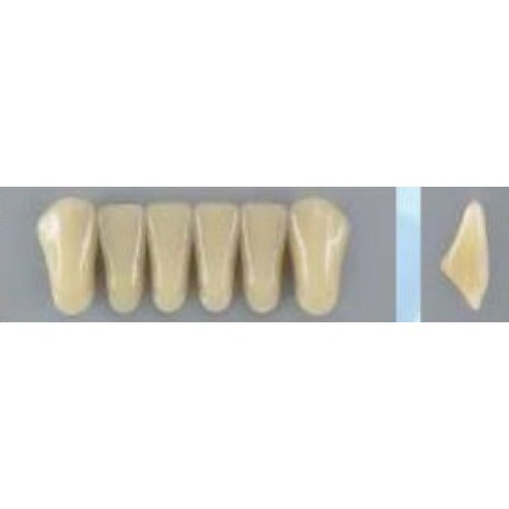 Dente Vipi Plus 266 Inferior