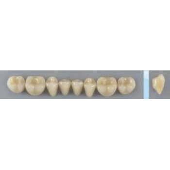 Dente Vipi Plus 32L Inferior