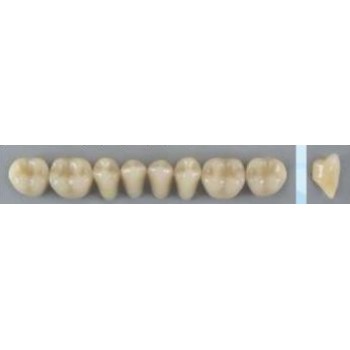 Dente Vipi Plus 34L Inferior