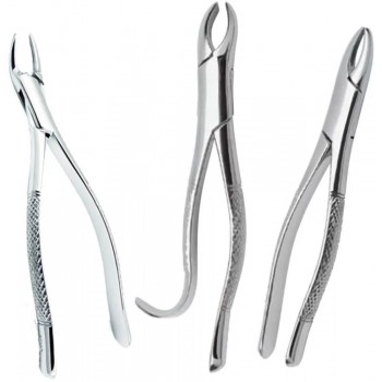 Forceps Adulto Golgran