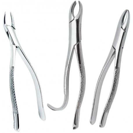 Forceps Adulto Golgran