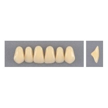 Dente Evodent 263 Superior