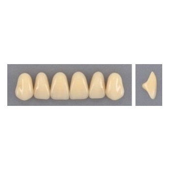 Dente Evodent 3P Superior