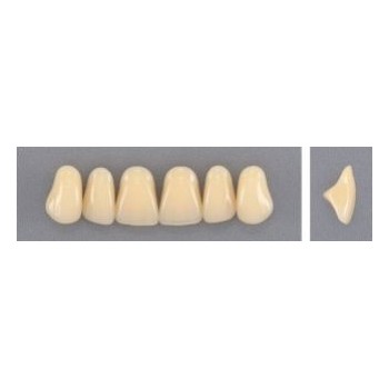 Dente Evodent A25 Superior