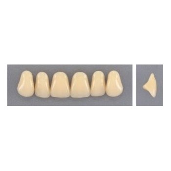 Dente Evodent A26 Superior