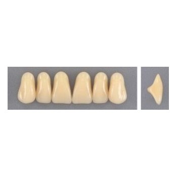 Dente Evodent 2P Superior