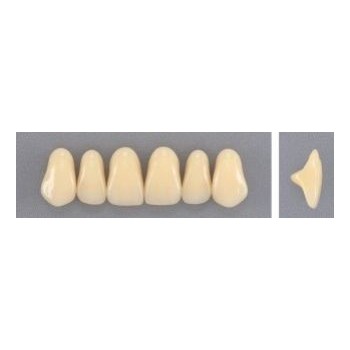 Dente Evodent 264 Superior