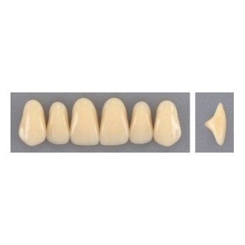 Dente Evodent 266 Superior