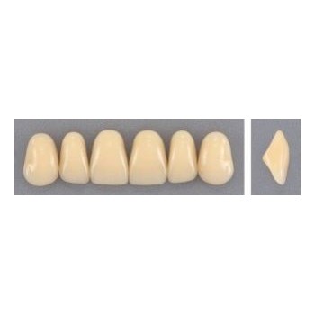 Dente Evodent 38 Superior