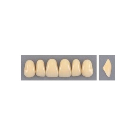 Dente Evodent 38 Superior