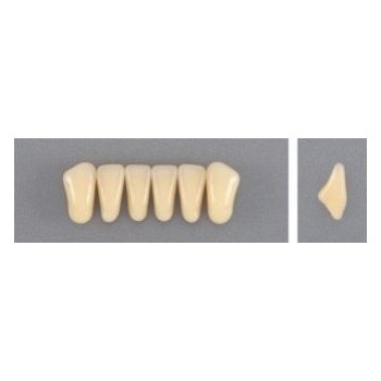 Dente Evodent 3M Inferior