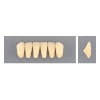 Dente Evodent 2D Inferior