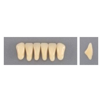 Dente Evodent 2N Inferior