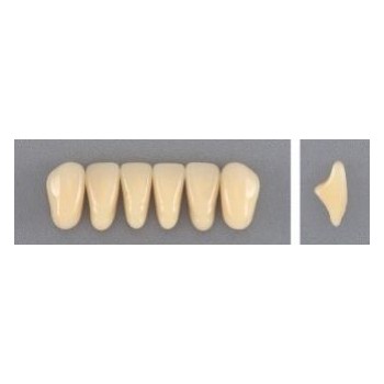 Dente Evodent 3P Inferior