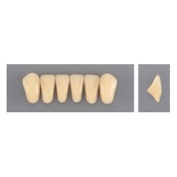 Dente Evodent A26 Inferior