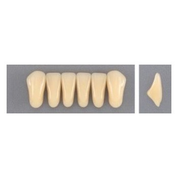 Dente Evodent 266 Inferior