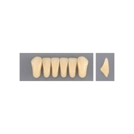 Dente Evodent 266 Inferior