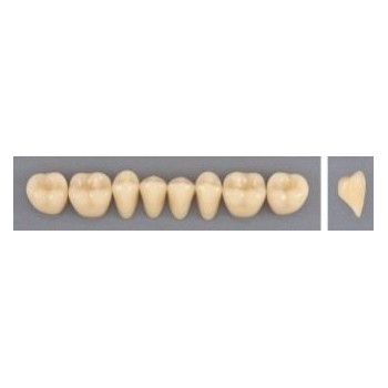 Dente Evodent 30L Inferior