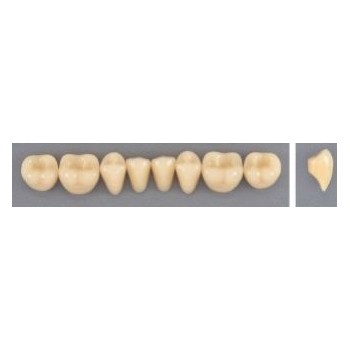 Dente Evodent 32L Inferior