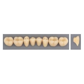 Dente Evodent 34L Inferior