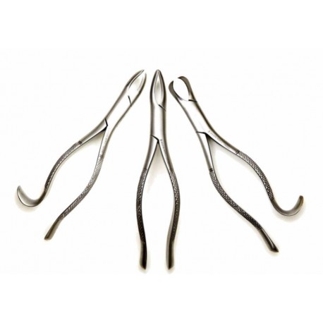 Forceps Adulto Wilcos