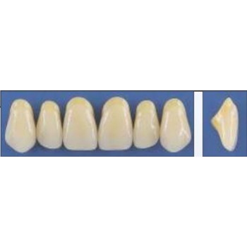 Dente Trilux R17 Superior