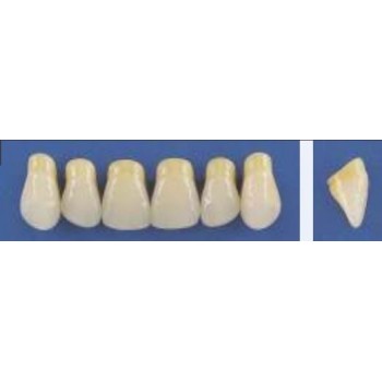 Dente Trilux E4 Superior