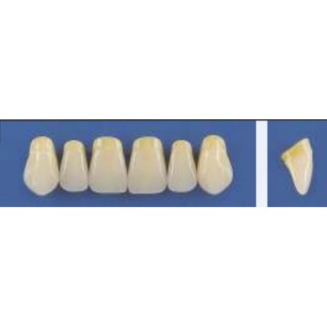 Dente Trilux G3 Superior