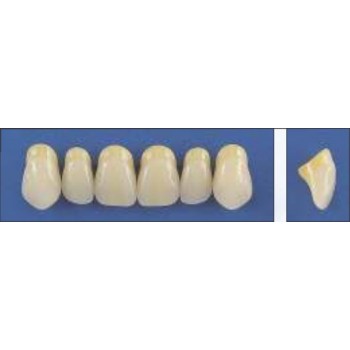 Dente Trilux O32 Superior