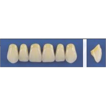 Dente Trilux L2 Superior