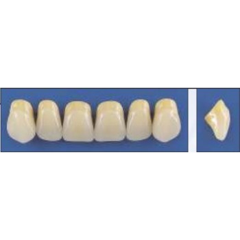 Dente Trilux L4 Superior