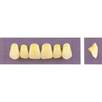 Dente Trilux R11 Superior