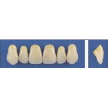 Dente Trilux R14 Superior