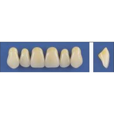 Dente Trilux R14 Superior