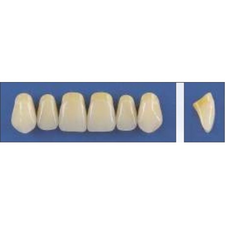 Dente Trilux R66 Superior