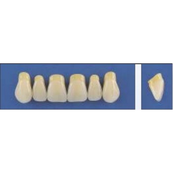 Dente Trilux E2 Superior