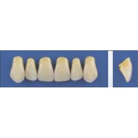 Dente Trilux E3 Superior